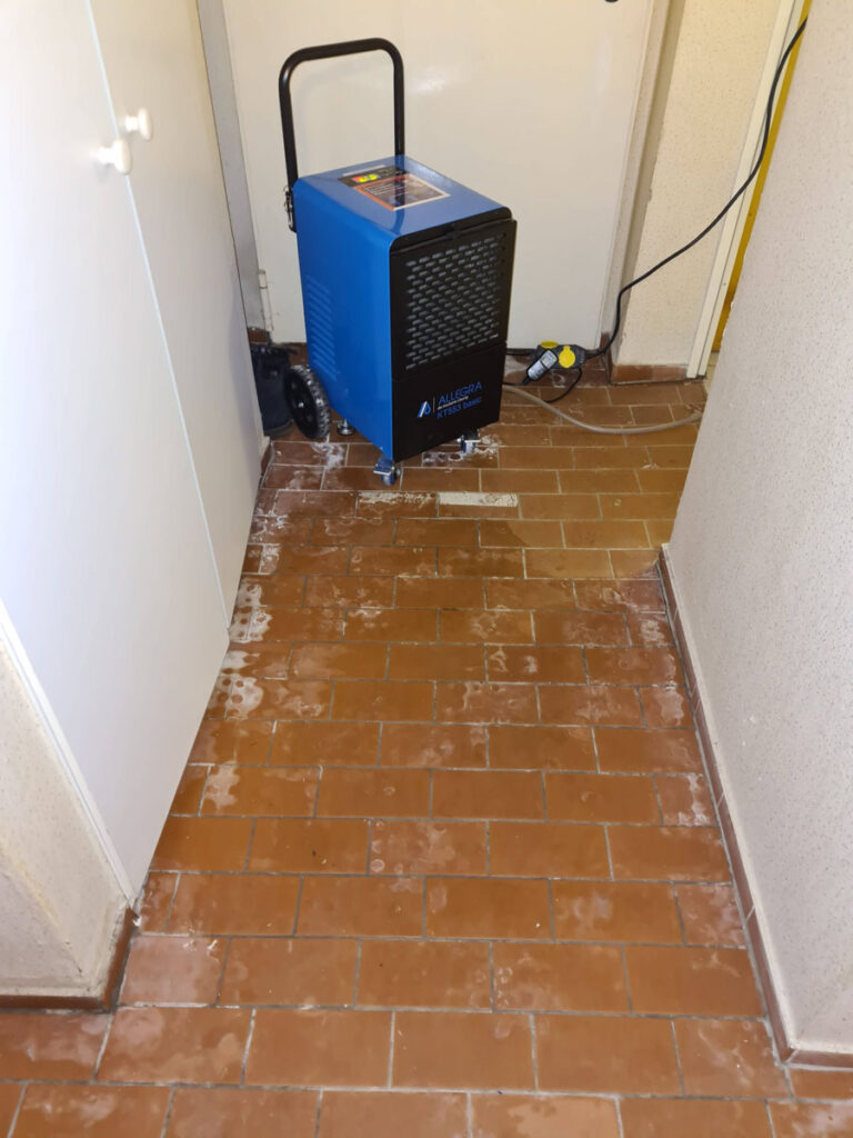 Ein blauer luftentfeuchter steht auf einem braun gefliesten boden in einem korridor. weiße rückstände oder flecken sind auf den fliesen um das gerät herum zu sehen. in der nähe ist ein verlängerungskabel eingesteckt. die wände sind hell gefärbt.