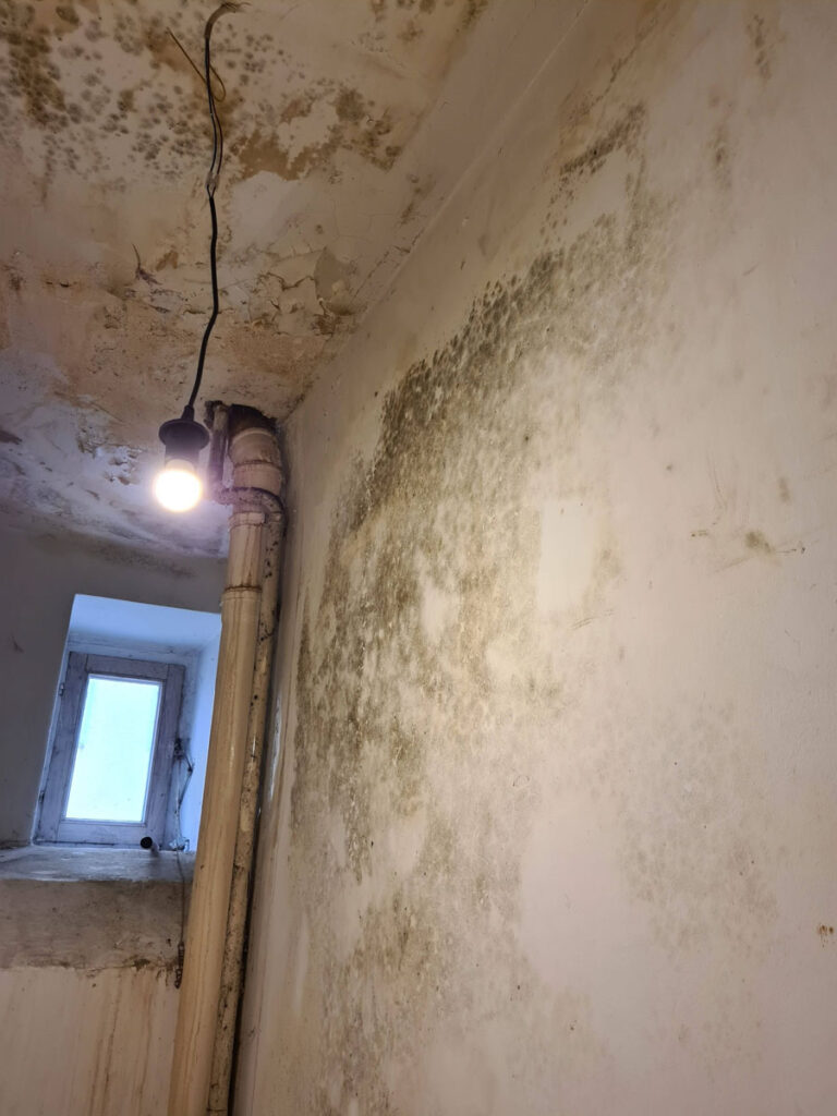 Ein raum mit fleckigen, schimmeligen wänden und decken. eine einzelne glühbirne hängt in der nähe einiger rohre von der decke. ein kleines fenster lässt tageslicht herein.